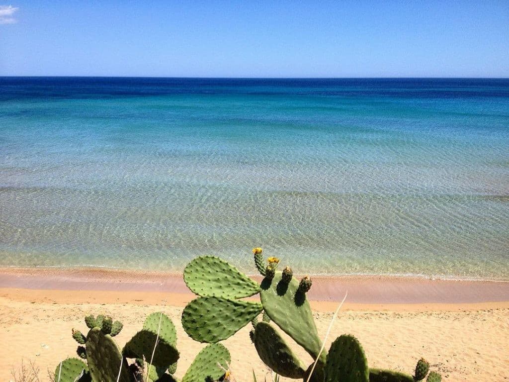 Sea