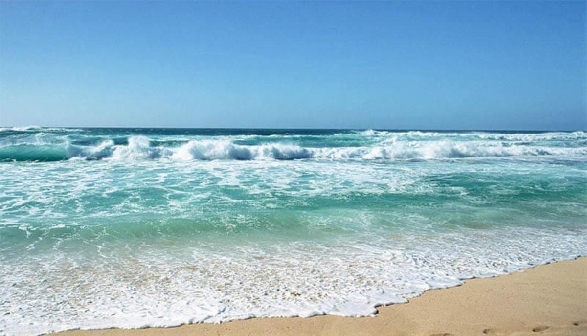 Sea